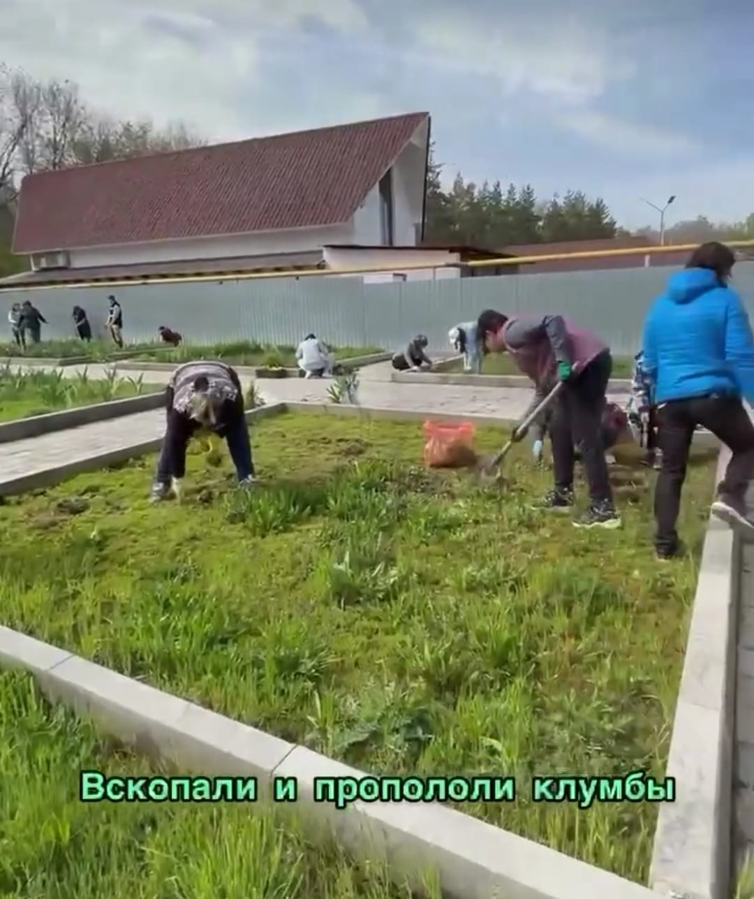 Жалпықалалық сенбілік